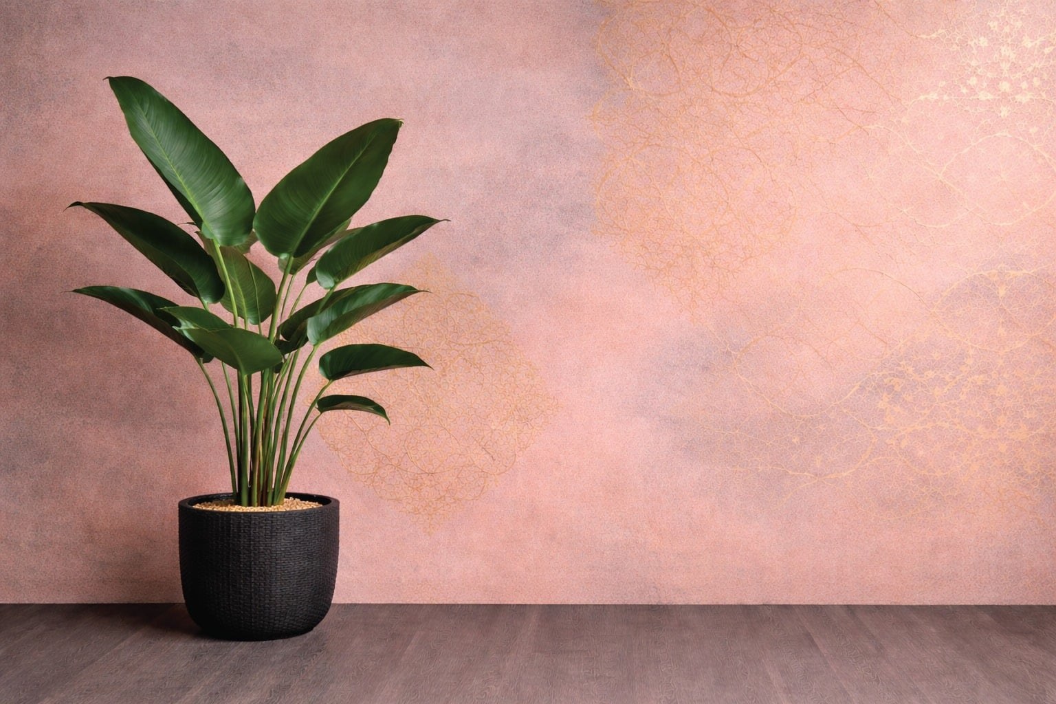 Soft terracotta decorative wall finish
